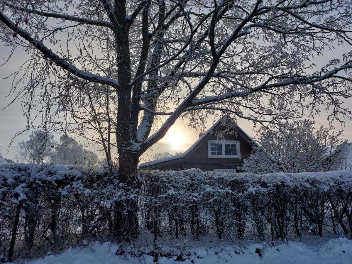 Vila Namins Pie Juras Lapmežciems Exteriér fotografie